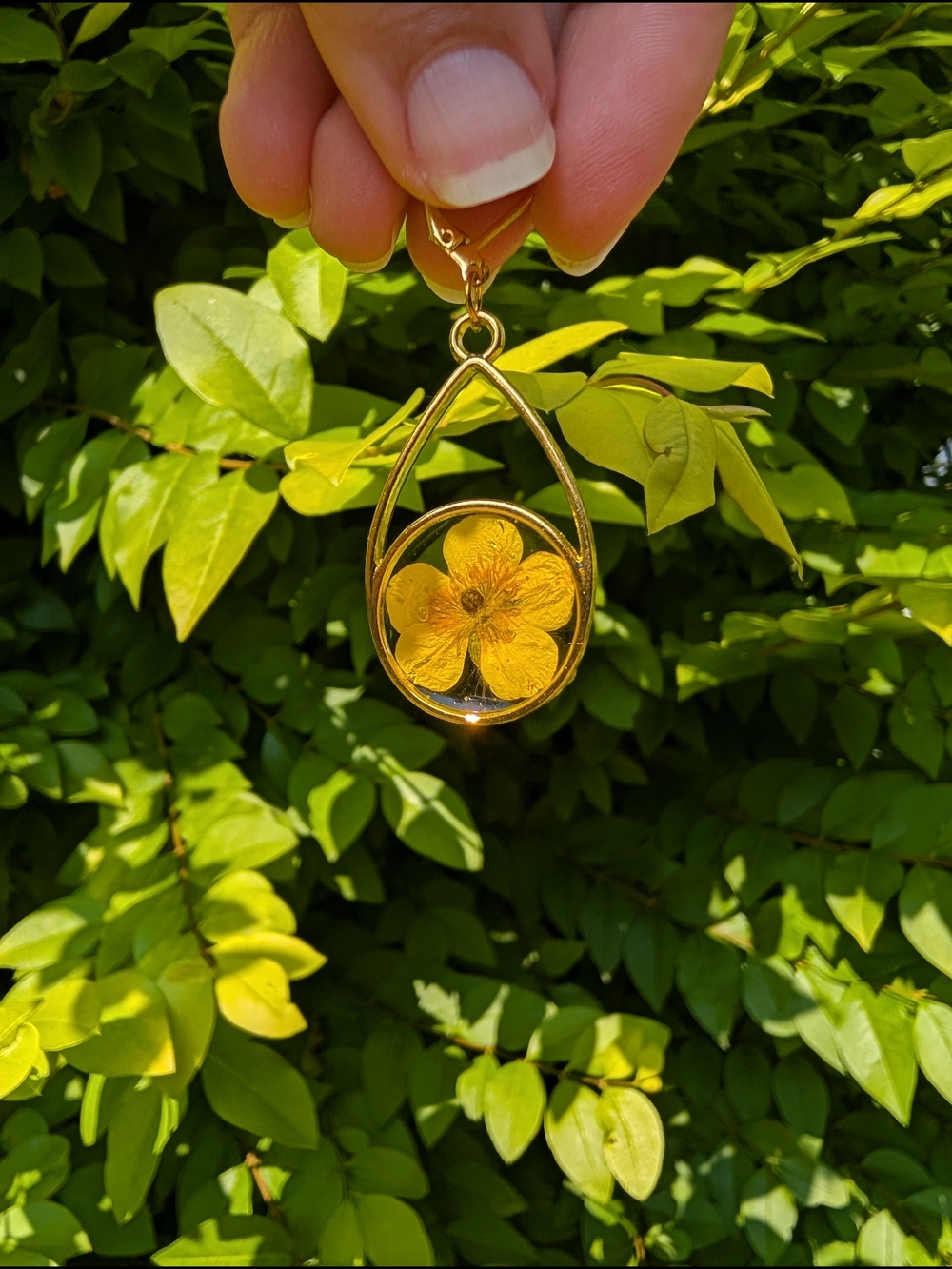 Gold Buttercup Teardrop Resin Earrings - Picture 2 of 2